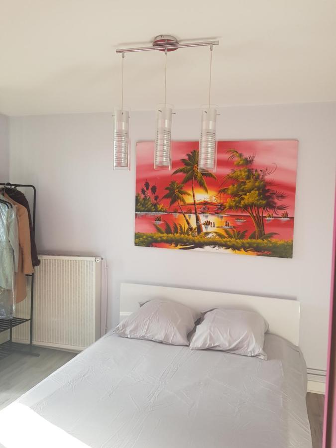 Chambres A Louer Dans Appartement Balcon - Wifi - Parking Gratuit Nevers Kültér fotó