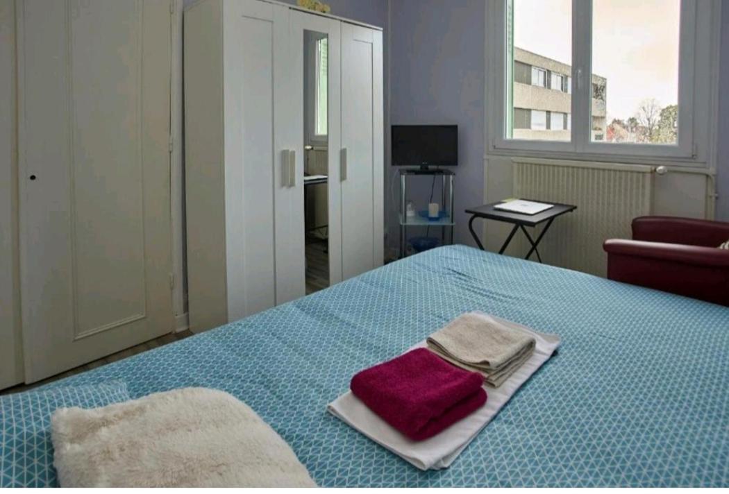 Chambres A Louer Dans Appartement Balcon - Wifi - Parking Gratuit Nevers Kültér fotó